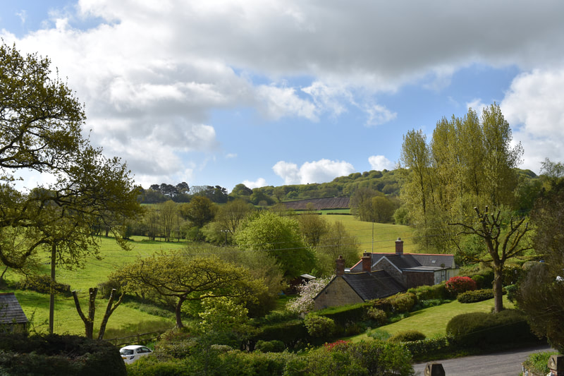 View from The Bothy and Orchard Cottage  towards Lewesdon Hill